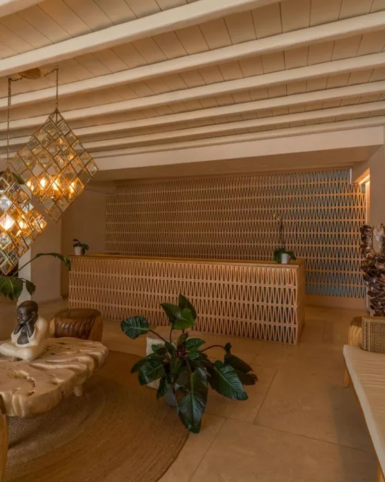 Asty Mykonos Hotel & Spa - World of One Hotel Group, photo 5