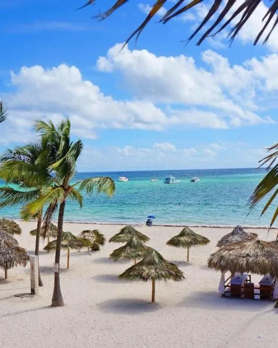 CARIBBEAN Deluxe VILLAS & Apartments, POOL LOS CORALES Beach & SPA, photo 2