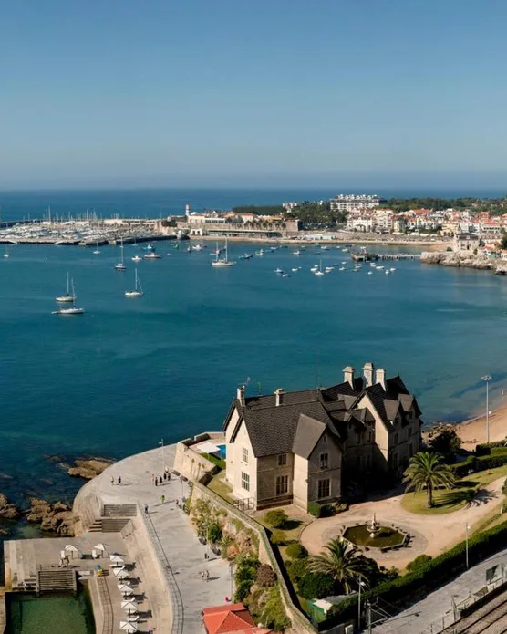 EVOLUTION Cascais, photo 3