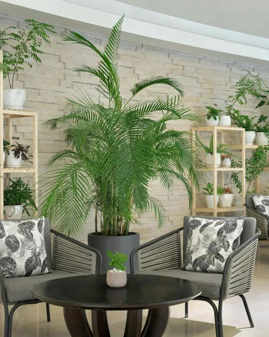 JW Marriott Hotel Marina, photo 7