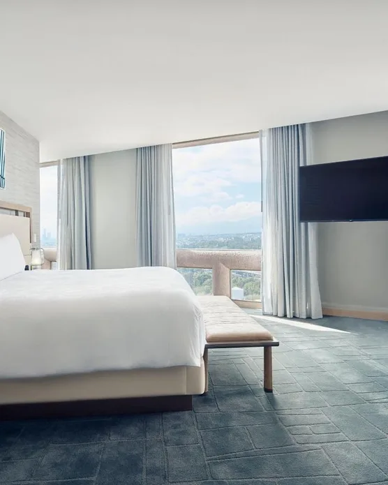 JW Marriott Hotel Mexico City Polanco, photo 5