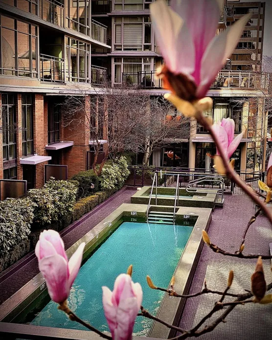 L'Hermitage Hotel, photo 1