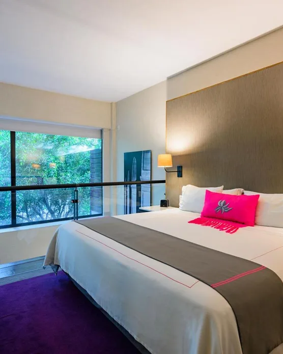Las Suites Campos Eliseos, photo 4
