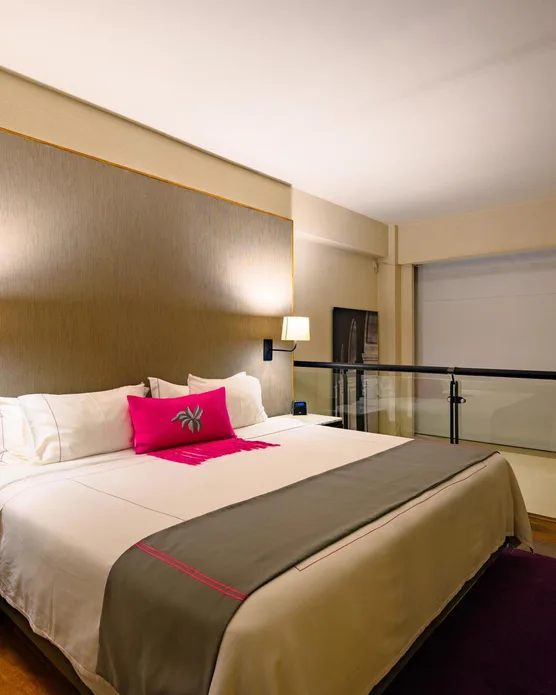 Las Suites Campos Eliseos, photo 6