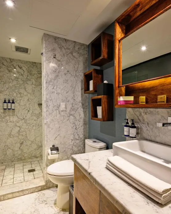 Las Suites Campos Eliseos, photo 3