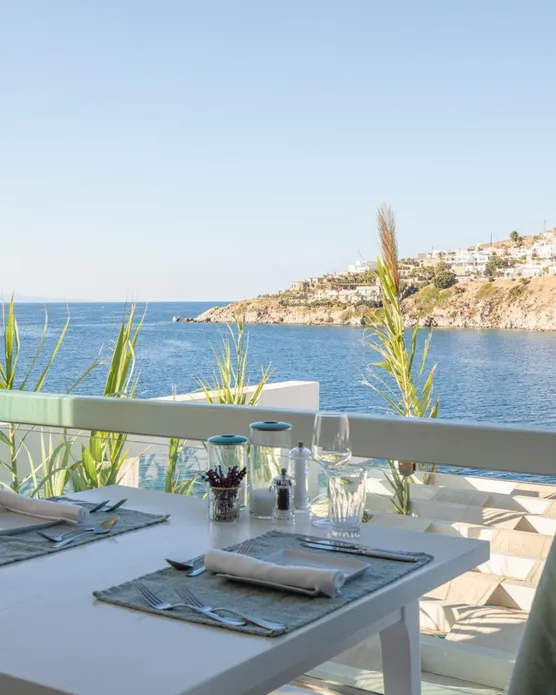 Nissaki Boutique Hotel, photo 8