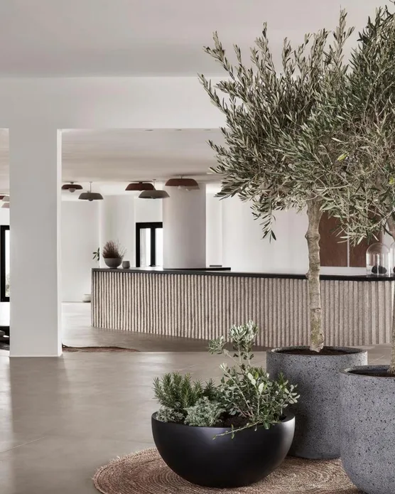 Orama Hotel & Spa, photo 9