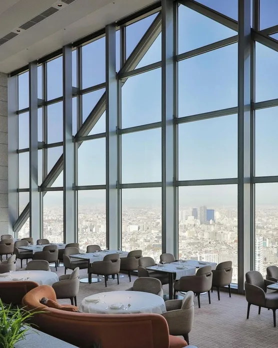 Park Hyatt Tokyo, photo 4