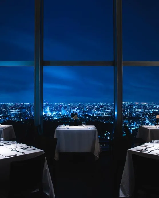 Park Hyatt Tokyo, photo 7