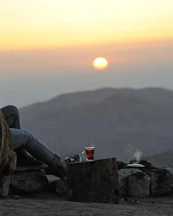 Petra Marriott Hotel, photo 5