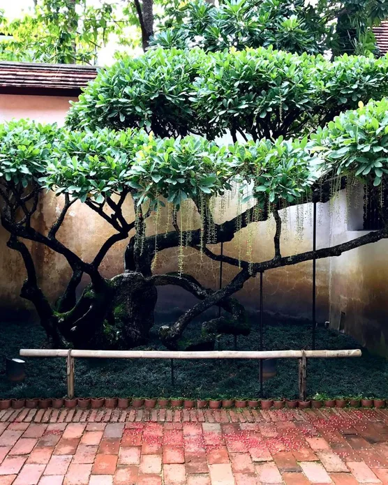 Rachamankha Hotel, photo 10