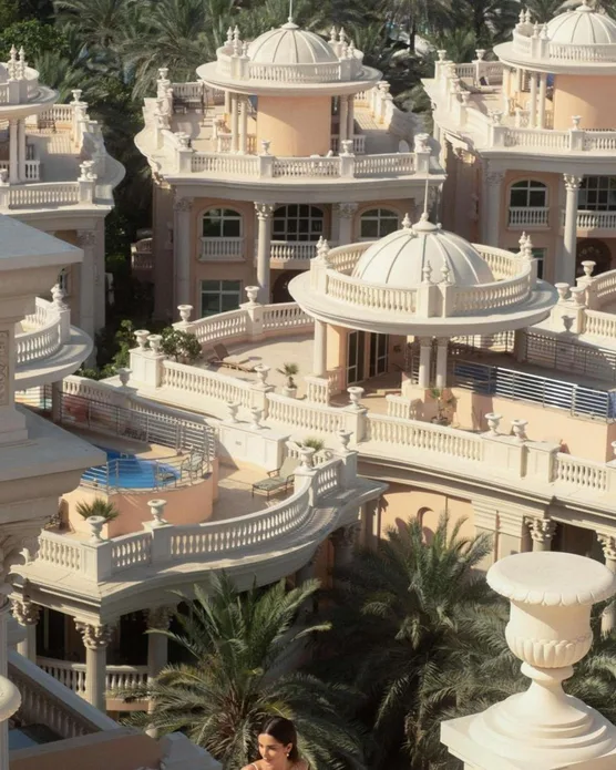 Raffles The Palm, photo 4