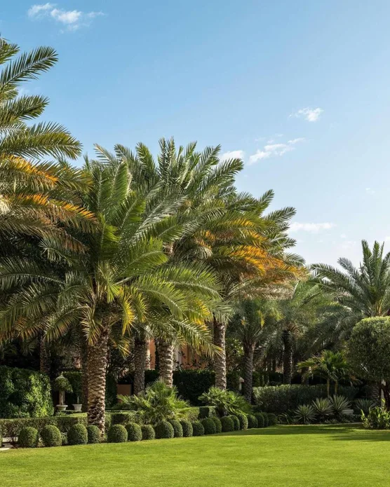 Raffles The Palm, photo 7