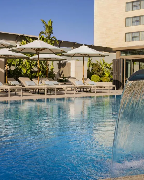 Signia by Hilton, photo 2