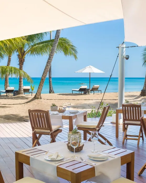 Sublime Samana, photo 7