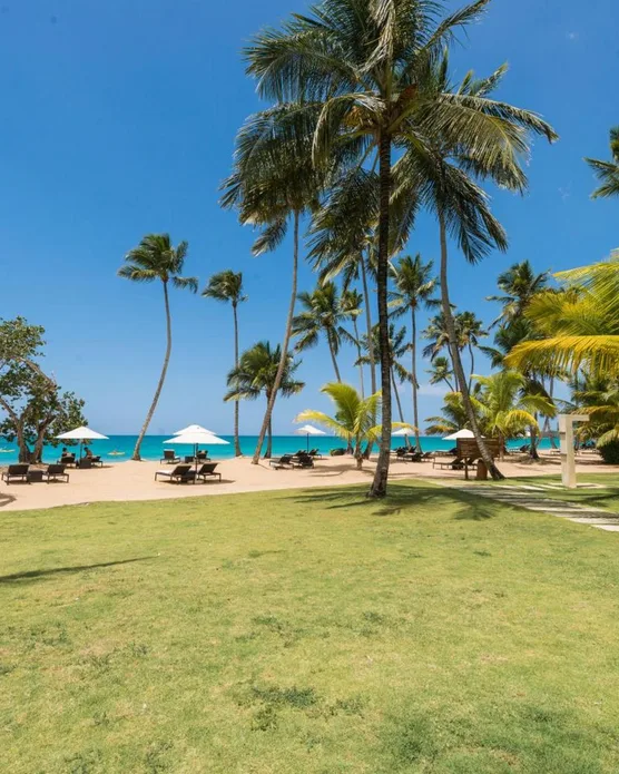 Sublime Samana, photo 8