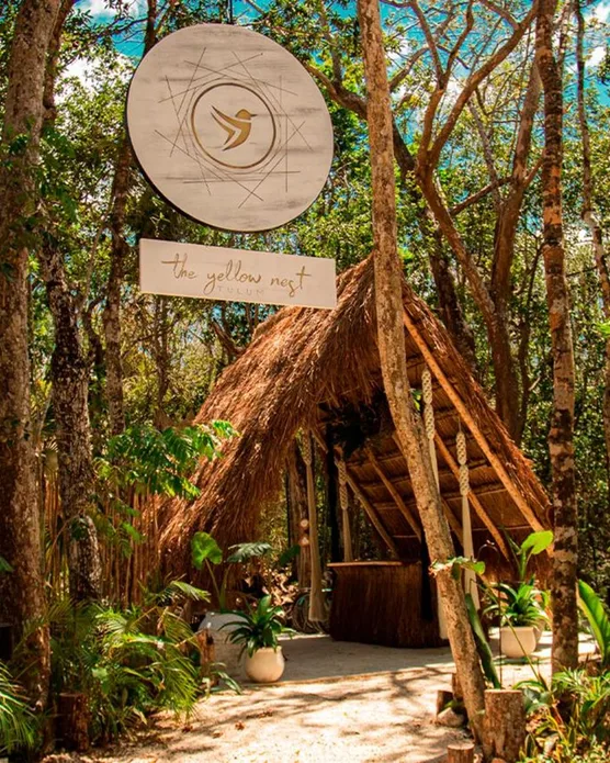 The Yellow Nest Tulum, photo 5